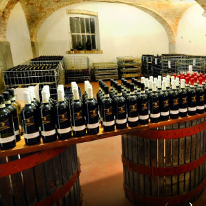 Azienda Agricola Olivetta Casale Monferrato